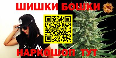 прущие грибы Усть-Илимск