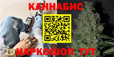 прущие грибы Усть-Илимск